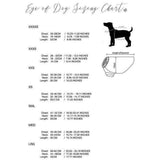 Metallic Jumper - Winter 2020 - Furevables Pet Boutique
