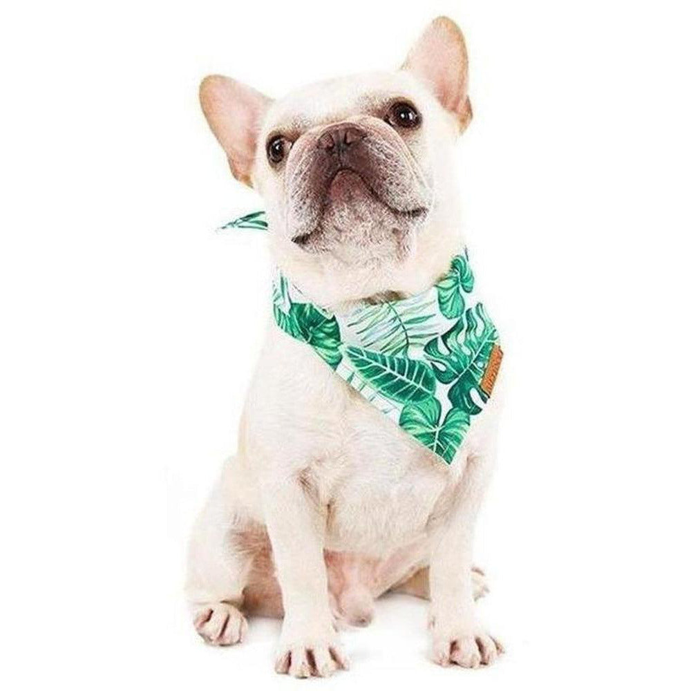 Monstera Dog Bandana