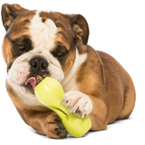 West Paw Qwizl - Puzzle & Treat Toy - Large