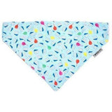 Birthday Boy Bandana - Furevables Pet Boutique