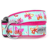 Spring Butterfly Collection - Furevables Pet Boutique