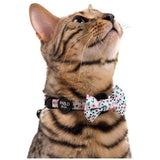 Floral Collar - Furevables Pet Boutique