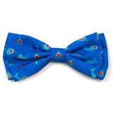 Chomp Chomp Shark Dog Collar - Furevables Pet Boutique