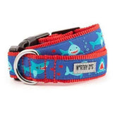 Chomp Chomp Shark Dog Collar - Furevables Pet Boutique