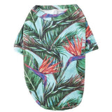 Maui T-Shirt - Furevables Pet Boutique