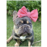 Pet Bows Headband - Furevables Pet Boutique