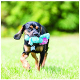 KONG Cozie Ali Alligator - Furevables Pet Boutique
