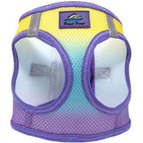 American River Choke Free Dog Leash Lemonberry Ice