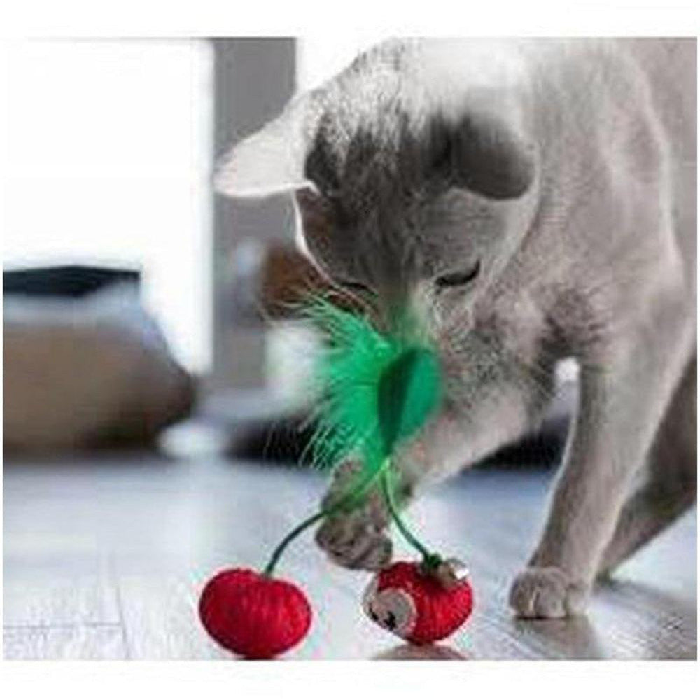 Petstages discount crinkle berries