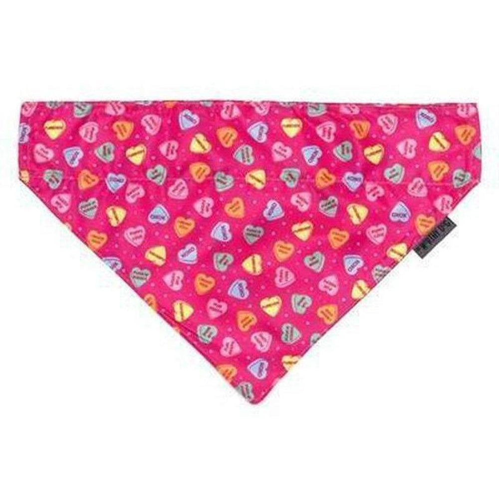 Puppy bandanna best sale