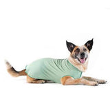 Sun Safe Tee - Furevables Pet Boutique