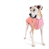 Sun Safe Tee - Furevables Pet Boutique