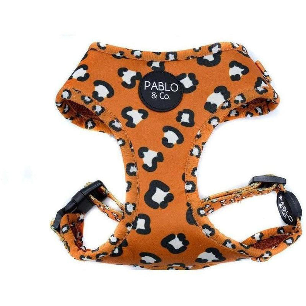 Pablo and co outlet harness