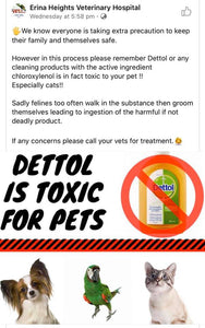 Dettol Can Be Toxic To Animals