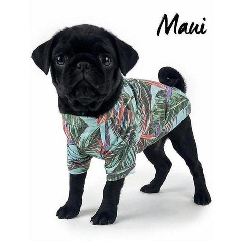 Maui T-Shirt - Furevables Pet Boutique