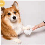 Grooming Wipes - All Natural Biodegradable