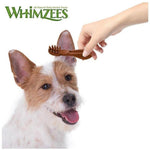 Whimzees Dental Toothbrush - Furevables Pet Boutique