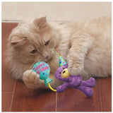 Cat Occasions Birthday Teddy - Furevables Pet Boutique