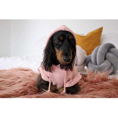 Ribbed Lounge Hoodie - Furevables Pet Boutique