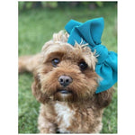 Pet Bows Headband - Furevables Pet Boutique
