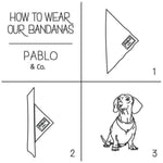Camo Bandana - Furevables Pet Boutique