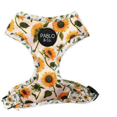 Sunflower Harness Pablo & Co - Furevables Pet Boutique