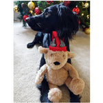 Christmas Bear - Furevables Pet Boutique