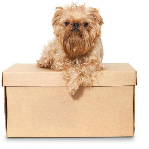 Treat Taster Box - Furevables Pet Boutique